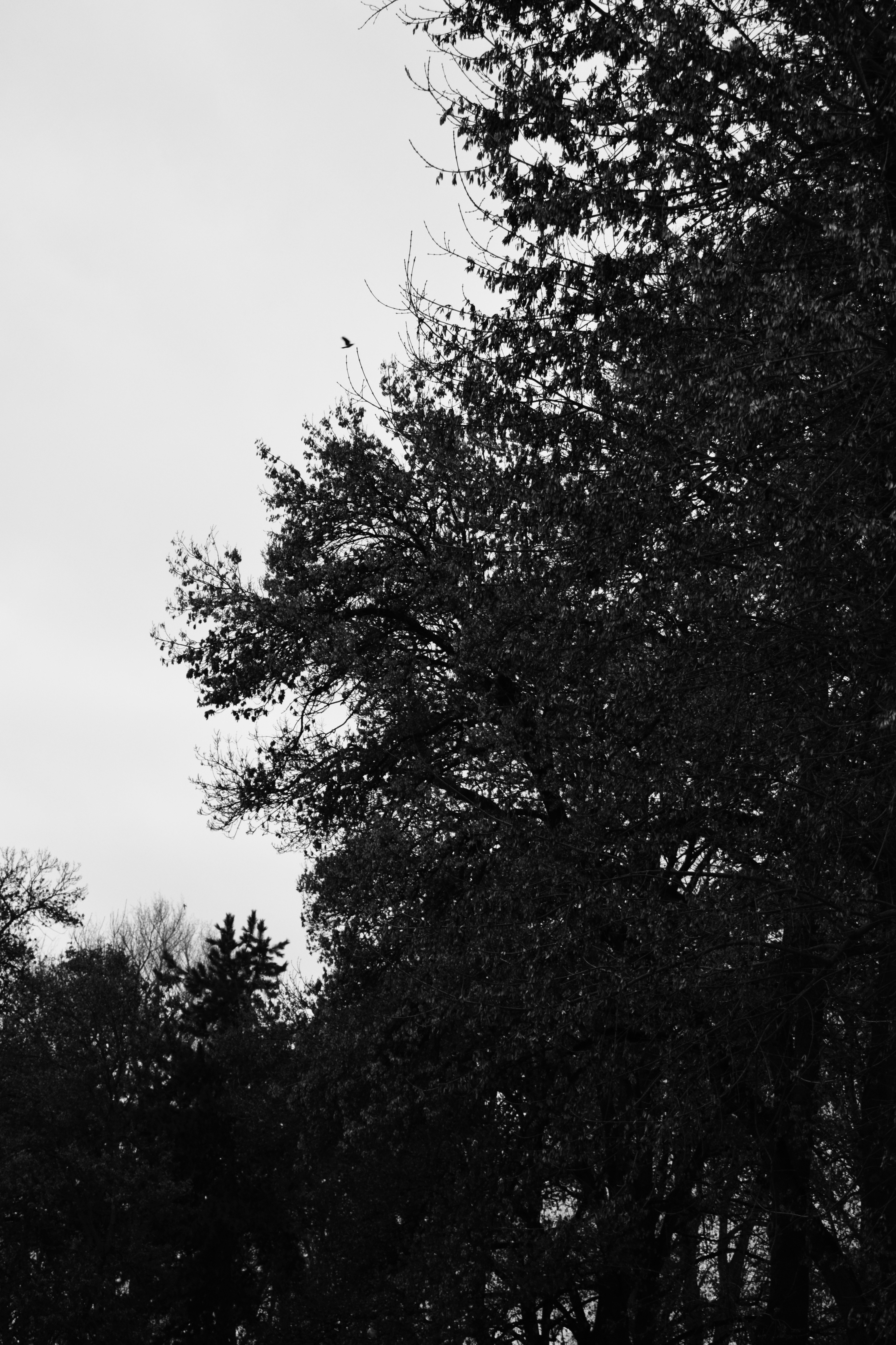 Silence